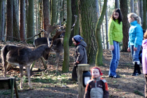 NUP Natur- und Umweltpark Gstrow